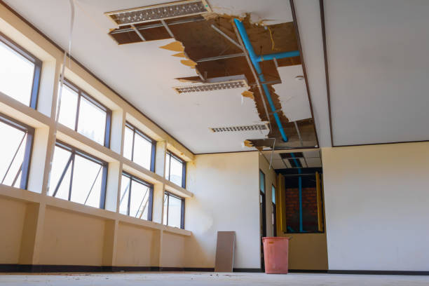Best Sewage cleanup and water damage restoration  in Ivanhoe, CA