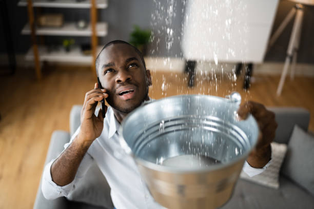 Best Water damage contractors near me  in Ivanhoe, CA