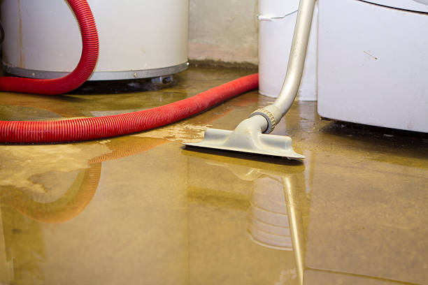 Best Local water damage restoration  in Ivanhoe, CA