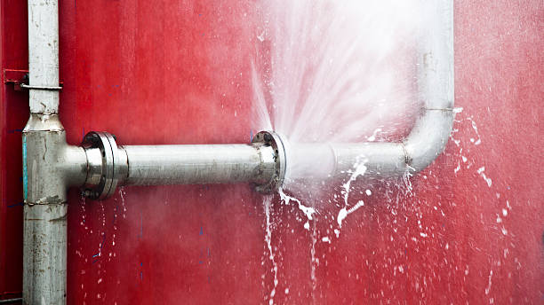 Best Professional water damage repair  in Ivanhoe, CA